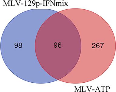 Transcriptomic Analysis of Liver Indicates Novel Vaccine to Porcine Reproductive and Respiratory Virus Promotes Homeostasis in T-Cell and Inflammatory Immune Responses Compared to a Commercial Vaccine in Pigs